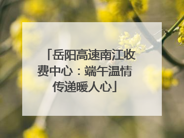 岳阳高速南江收费中心：端午温情传递暖人心